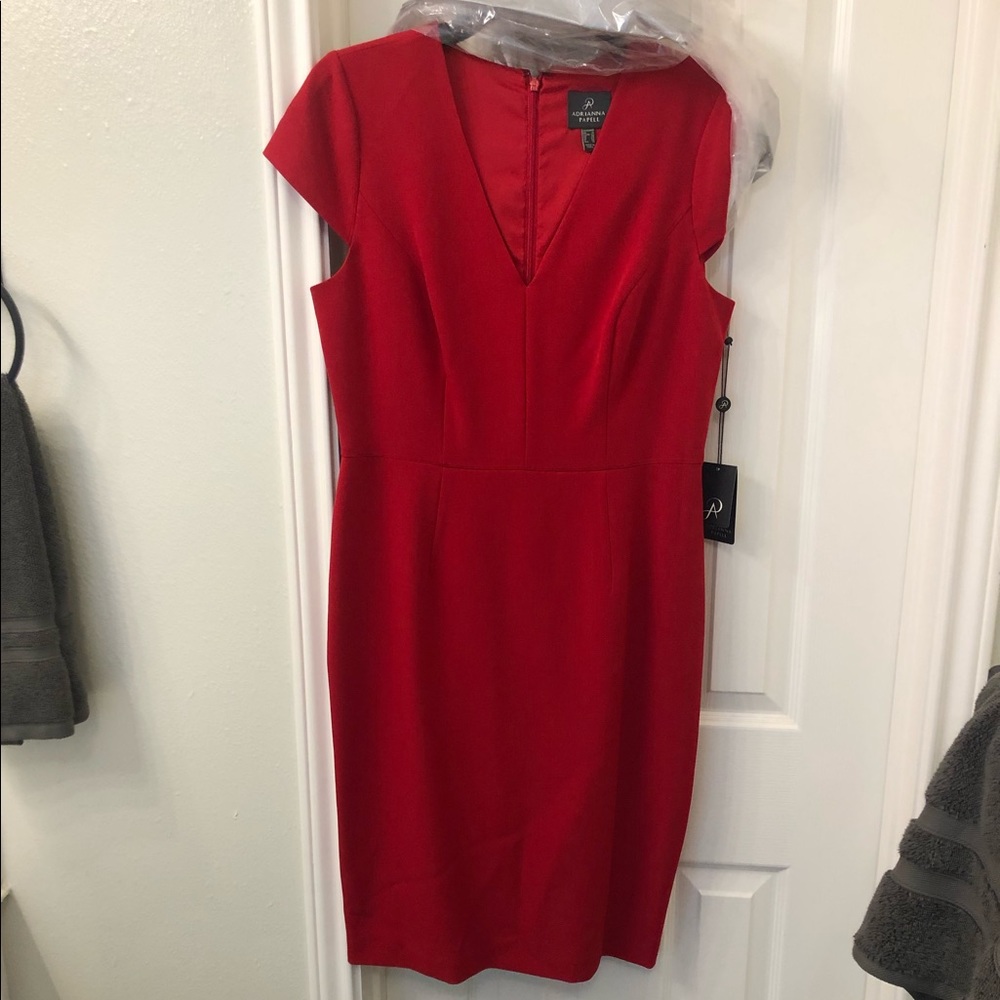 NWT Adriana Papell dress